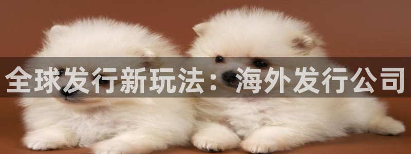 新宝GG官网挂机项目怎么样可靠吗：全球发行新玩法：海外发行公司