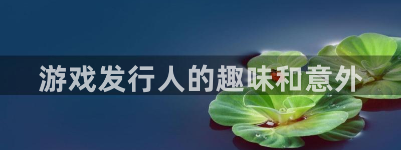 新宝GG官网登录注册账号失败：游戏发行人的趣味和意外