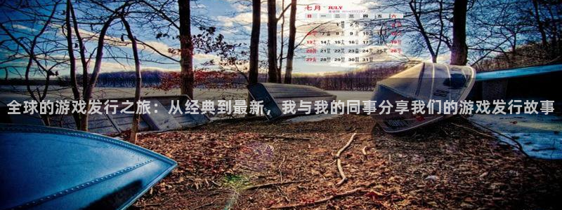 新宝GG官网登录注册失败：全球的游戏发行之旅：从经典到最新，我与我的同事分享我们的游戏发行故事