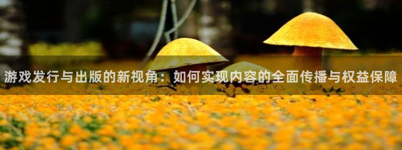 苏州新宝GG网络科技有限公司