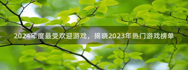 新宝GG电子商务有限公司