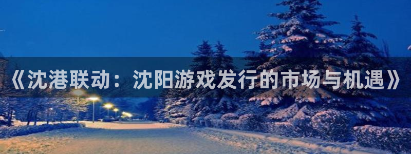 新宝GG技术有限公司官网