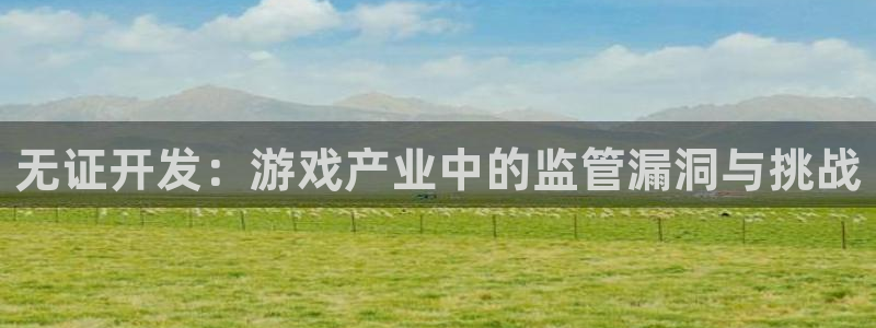 陕西新宝GG子文化创意干啥的：无证开发：游戏产业中的监管漏洞与挑战