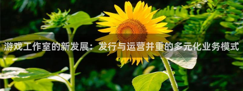 新宝GG官网的奇趣腾讯是真的吗知乎