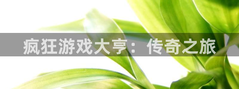 新宝GG龙