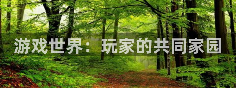 新宝GG电子科技股票：游戏世界：玩家的共同家园