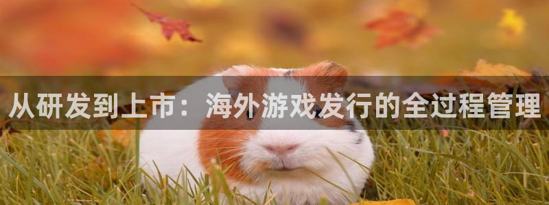 广州新宝GG电子商务