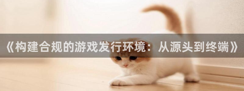 新宝GG子 到底怎么样