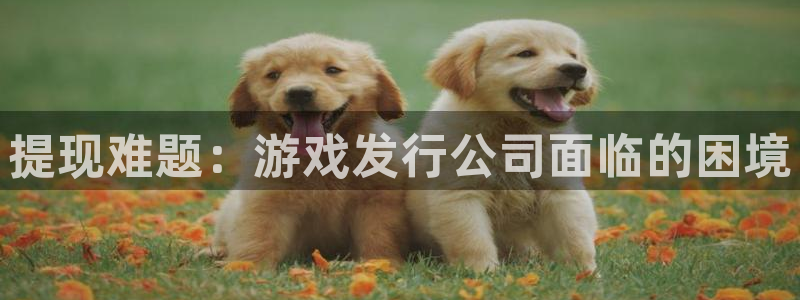 新宝GG官网注册地址在哪里啊