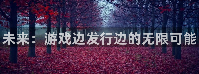 广州新宝GG电子商务：未来：游戏边发行边的无限可能