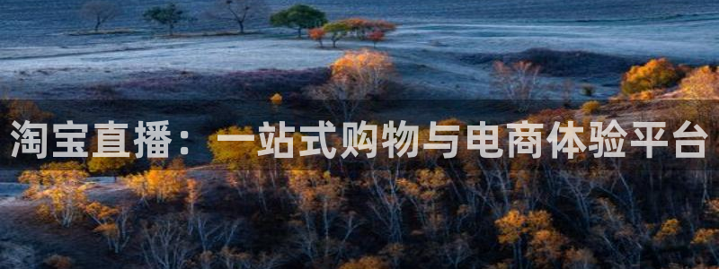 24直播网足球免费直播：淘宝直播：一站式购物与电商体验平台