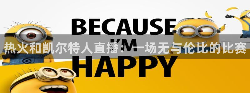 24直播网nba官网下载：热火和凯尔特人直播：一场无与伦比的比赛
