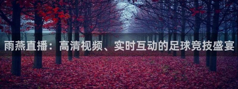 24直播网官网：雨燕直播：高清视频、实时互动的足球竞技盛宴
