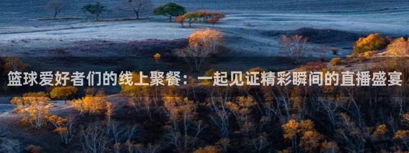 24直播 体育：篮球爱好者们的线上聚餐：一起见证精彩瞬间的直播盛宴