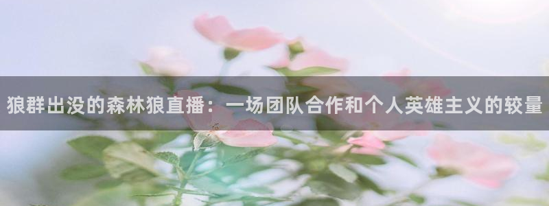 24直播网app下载：狼群出没的森林狼直播：一场团队合作和个人英雄主义的较量