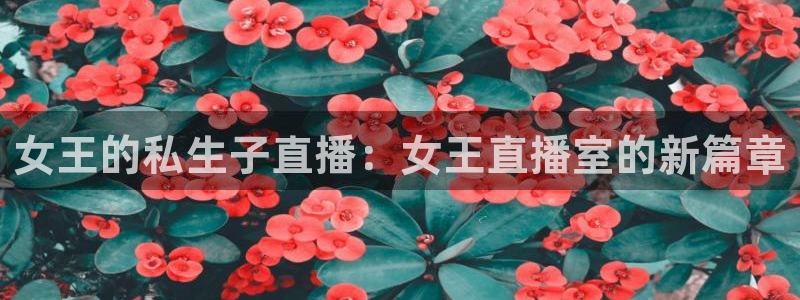 24直播下载：女王的私生子直播：女王直播室的新篇章