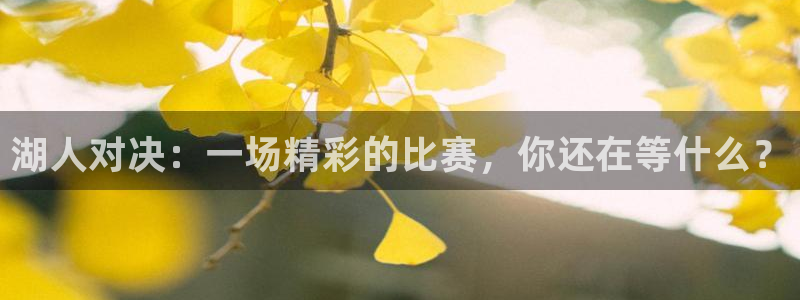 24直播jrs：湖人对决：一场精彩的比赛，你还在等什么？