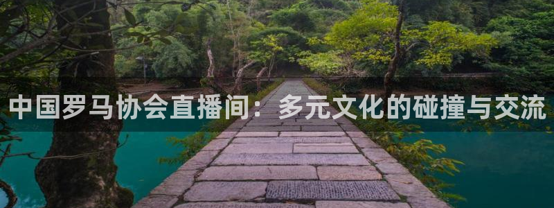 24直播网篮球免费直播：中国罗马协会直播间：多元文化的碰撞与交流