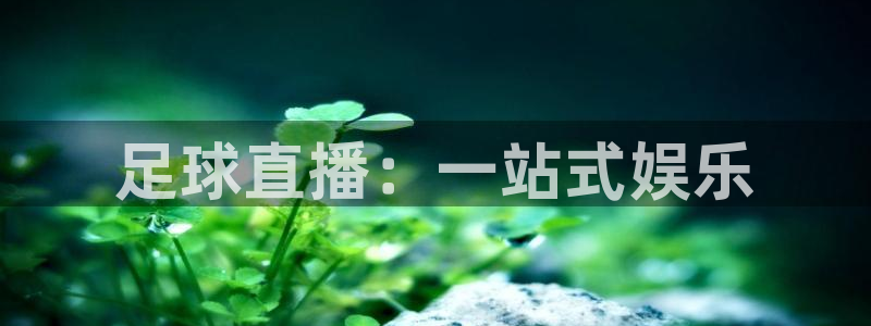 24直播免费足球直播178：足球直播：一站式娱乐
