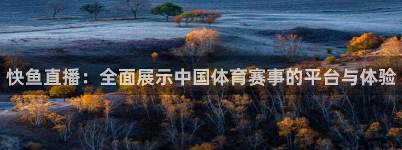 24直播网 nba直播：快鱼直播：全面展示中国体育赛事的平台与体验