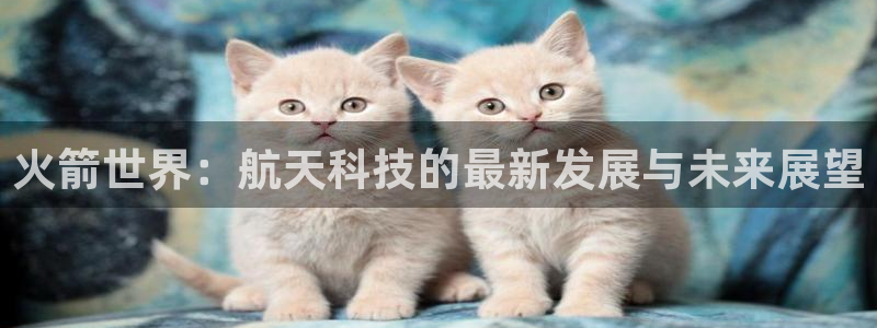 24直播网nba官网下载：火箭世界：航天科技的最新发展与未来展望