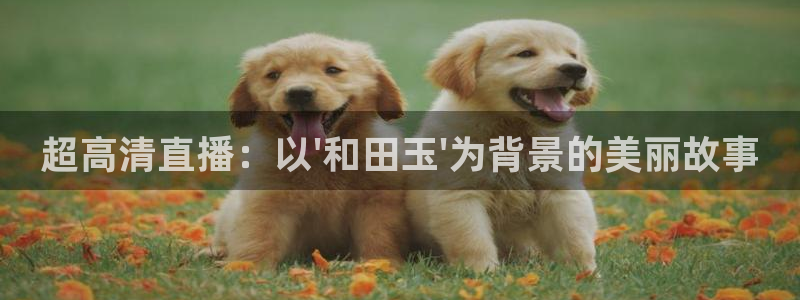 24直播nba免费高清在线观看：超高清直播：以\'和田玉\'为背景的美丽故事