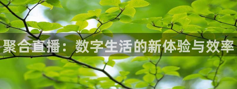 24直播网体育新年放送7zg.立即打开.org：聚合直播：数字生活的新体验与效率